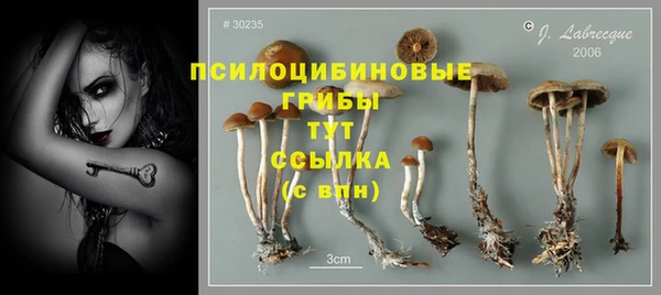 тгк Беломорск