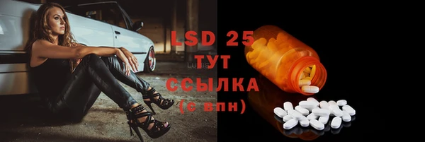a pvp Белокуриха